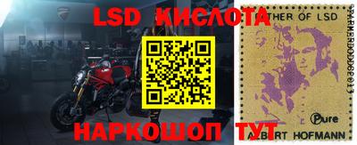 спиды Новодвинск
