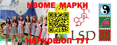 стаф Новокубанск