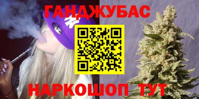 спиды Новодвинск