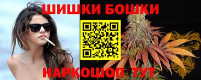 спиды Новодвинск