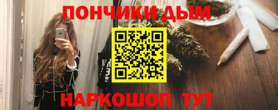 спиды Новодвинск