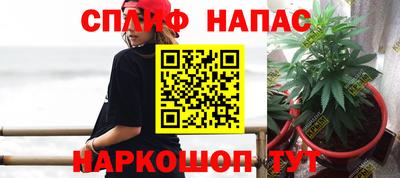 стаф Новокубанск