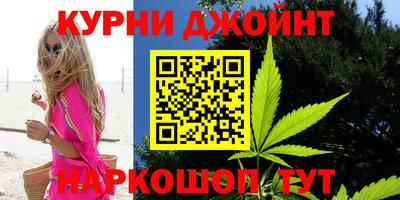 стаф Новокубанск