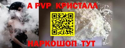 стаф Новокубанск