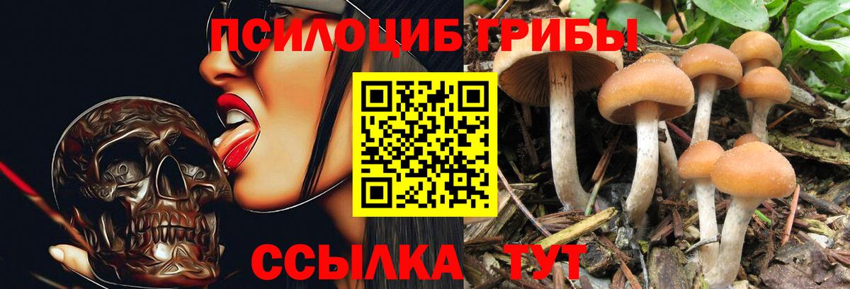 Галлюциногенные грибы Magic Shrooms  Вход с VPN  Скопин  Псилоцибиновые грибы прущие грибы 